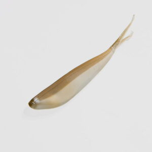Zoom Tiny Fluke 3" 20pk