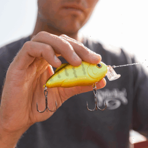 Strike King Hybrid Hunter Crankbait